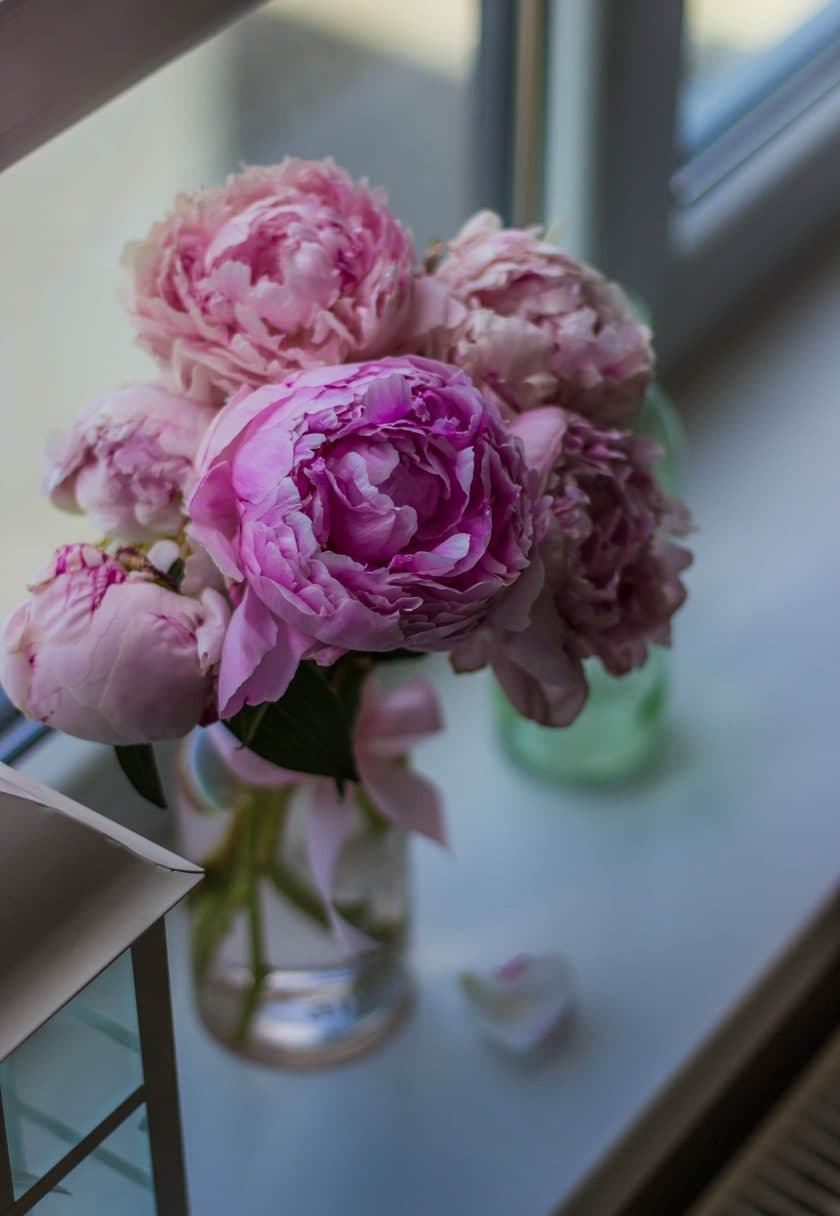 Pink peonies in a vase by the window — Thank You gift cards at Carisma Aesthetics Malta